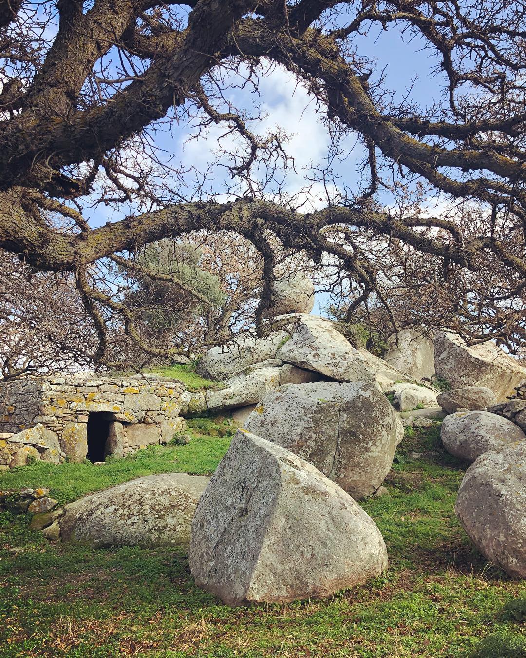 the boulders of Volax